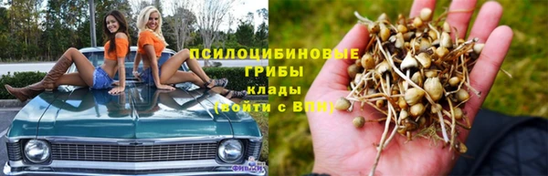 mdma Богородицк