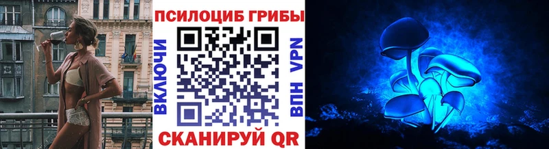 Галлюциногенные грибы MAGIC MUSHROOMS Будённовск